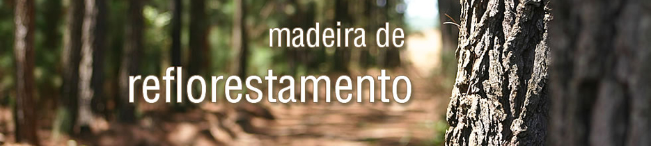 Madeira de Reflorestamento - Madeireira Bonanza